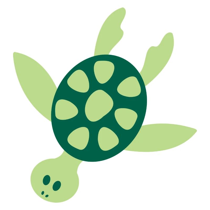 Tortue de mer colorée