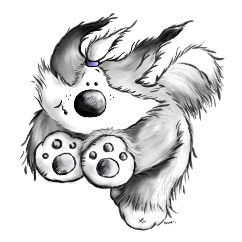 Flying Bearded Collie - Hund