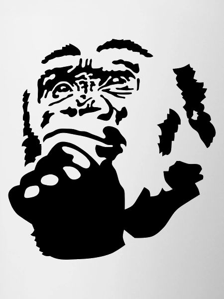 monkey