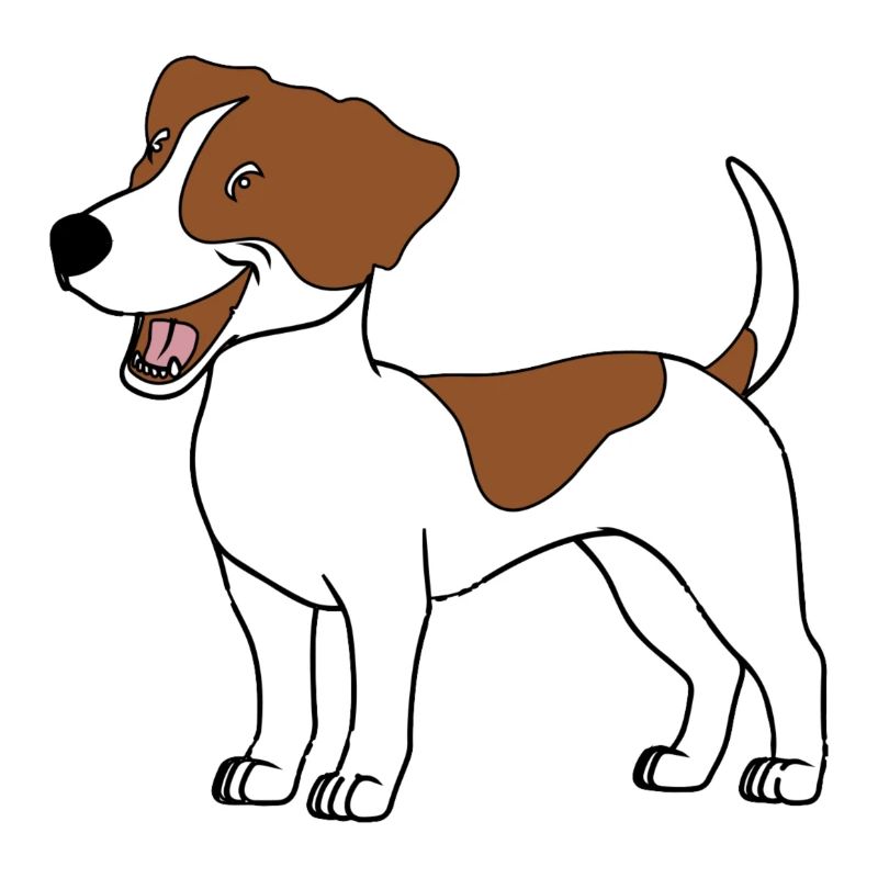 JACK RUSSELL