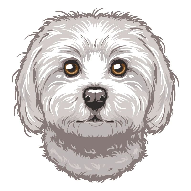 Maltese