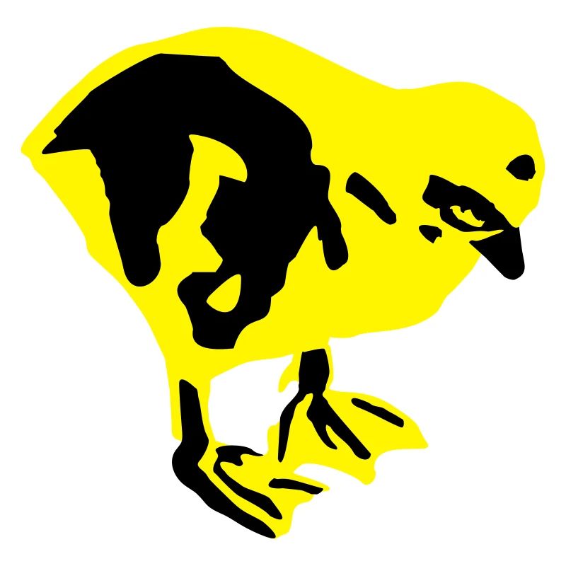 chick, poussin