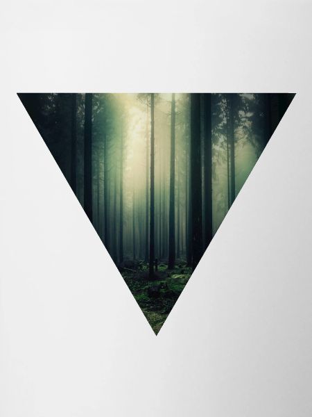Leuchtender Wald im Nebel
