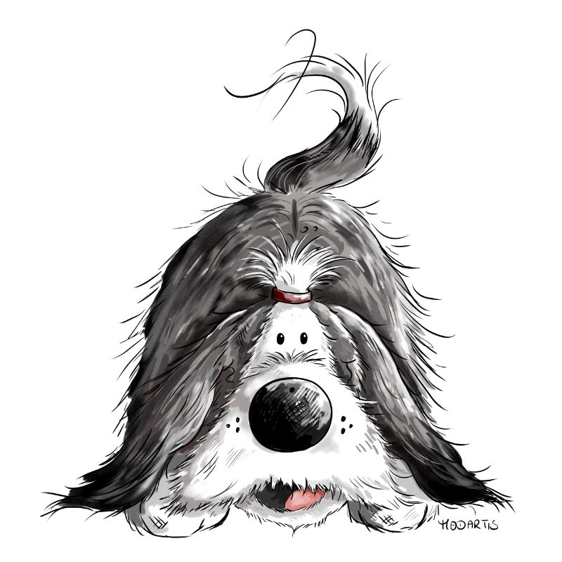 Bearded Collie