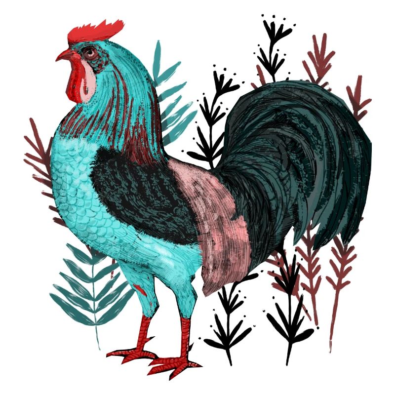 Le coq turquoise dans la conception végétale