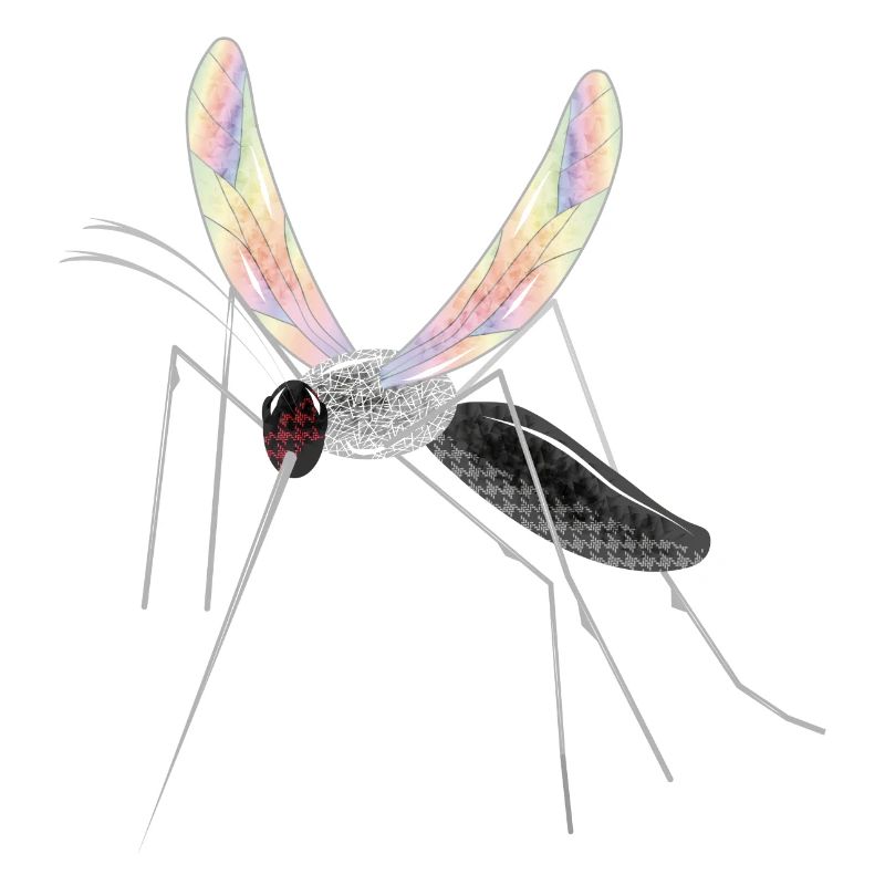 irisierende Zeichnung einer Stechmücke Mosquito