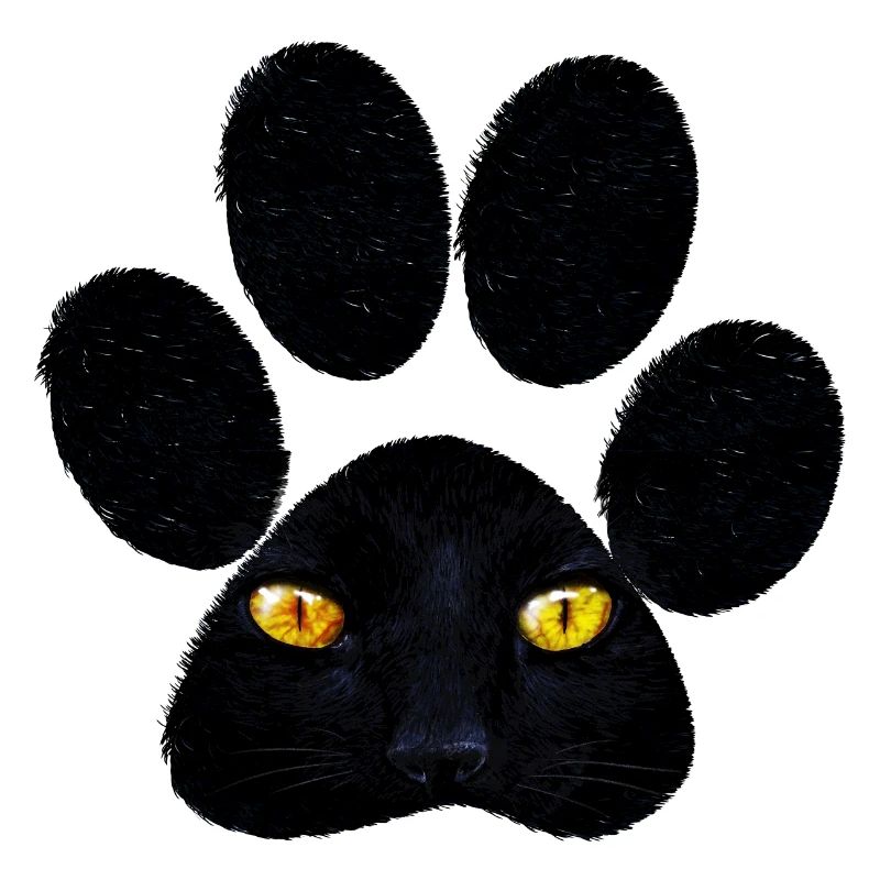 Patte de chat