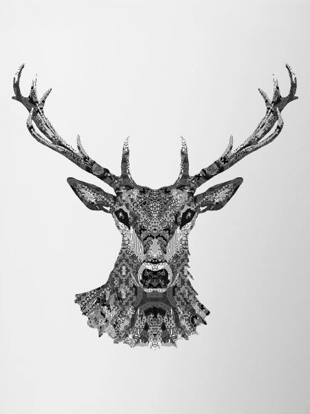 Hirsch