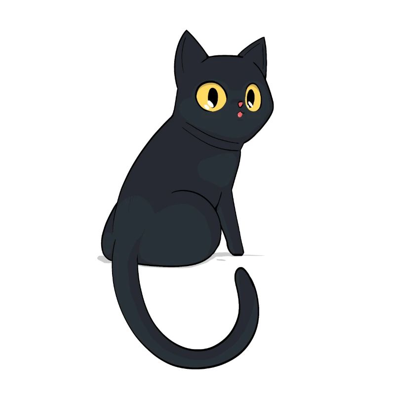 Chat noir