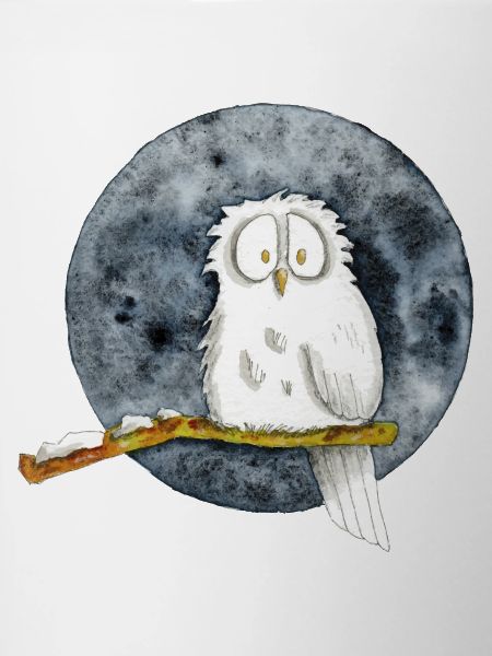 The Snowy Owl