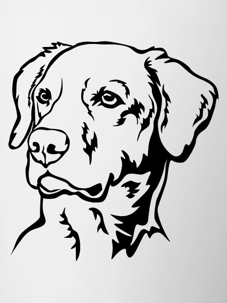 Labrador Head