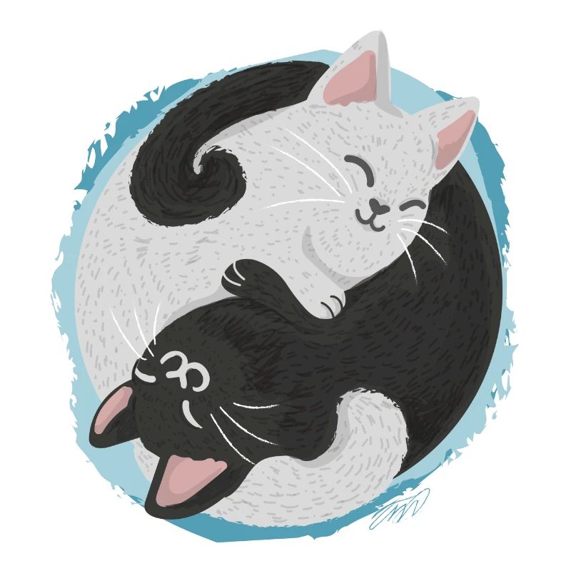 Jing Jang Katzen