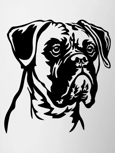 Boxer Head