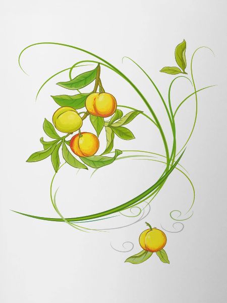 Peaches, fruit