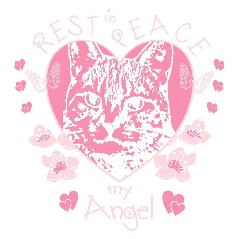 Cat Angel