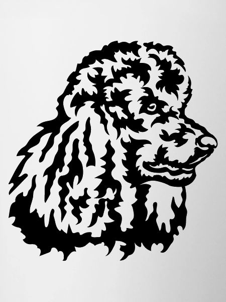 Big Poodle Head