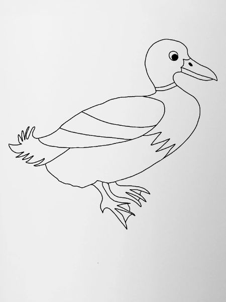 Duck / - Graphic black and white