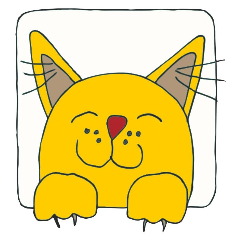 Chat au visage heureux