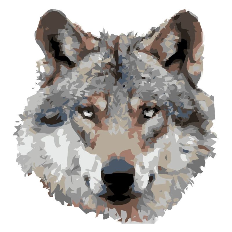 Wolf (grau)
