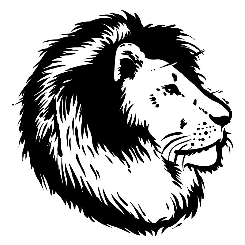 lion