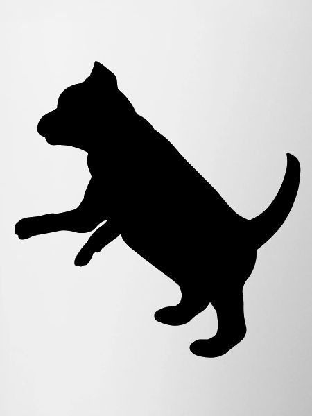 Ludique chiot