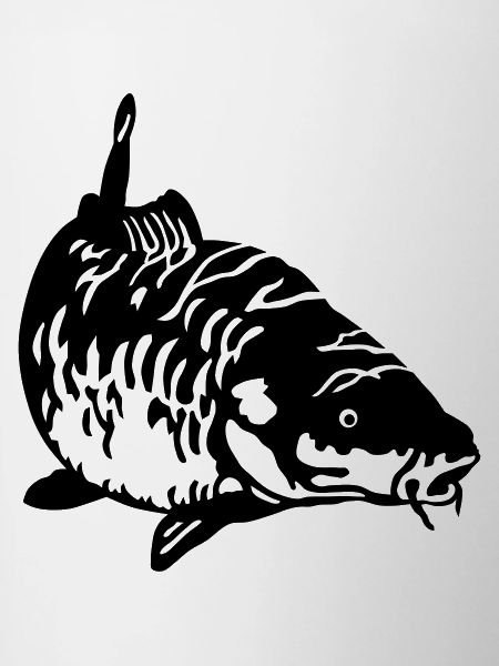 Carp