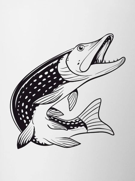 Brochet - Pêche - Pêche - Pêcheurs