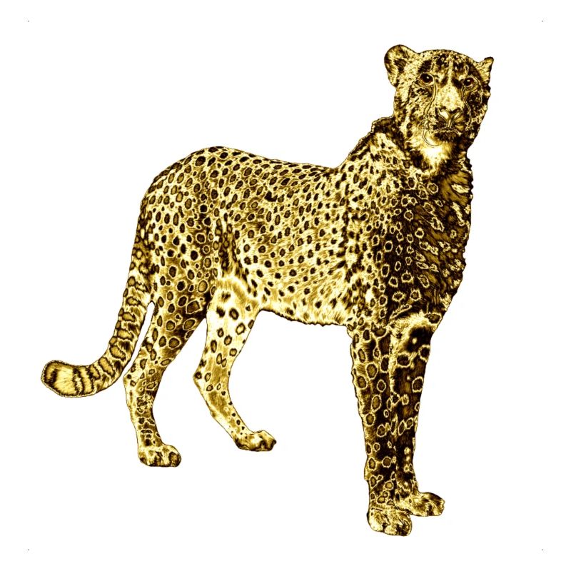 Leopard Goldene Graffiti Kunst