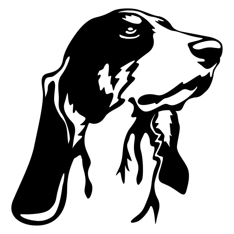 Tête de chien bernois