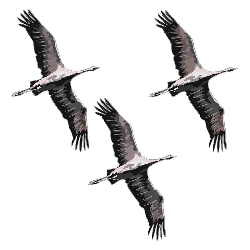Grues migratrices d’oiseaux dans les tons de gris