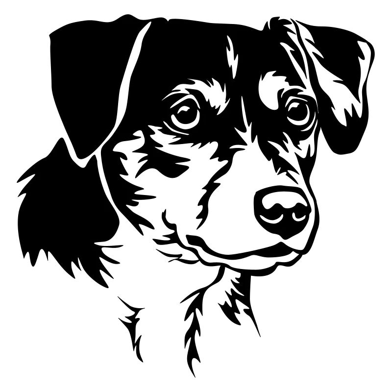 Dansk Svensk Gaardhond Head