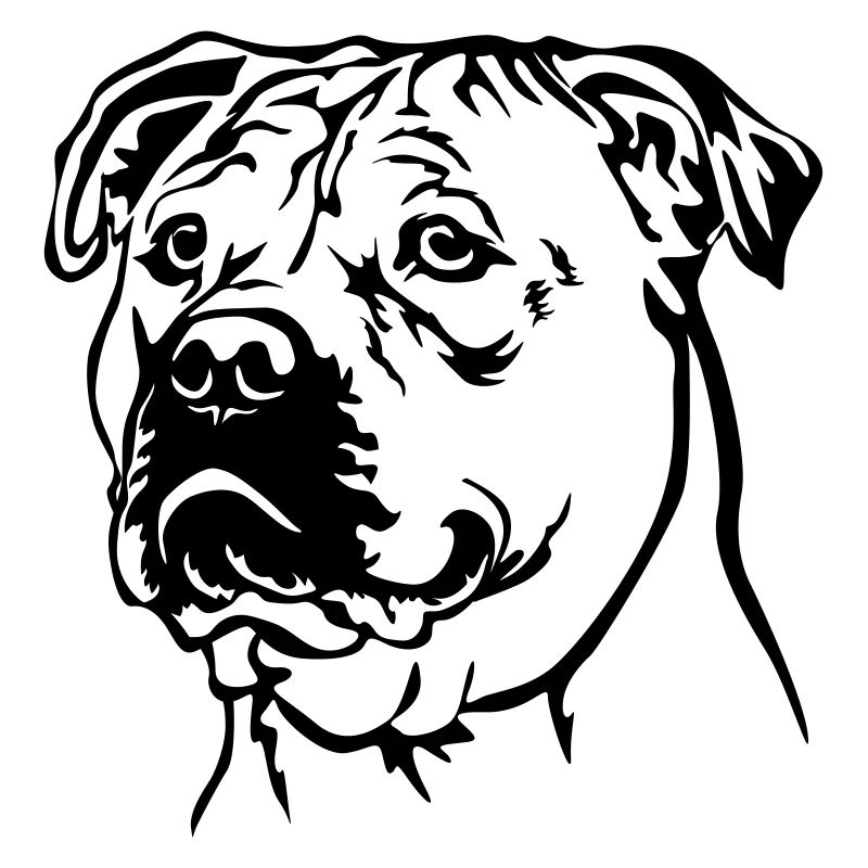 Perro Dogo Mallorquin Kopf
