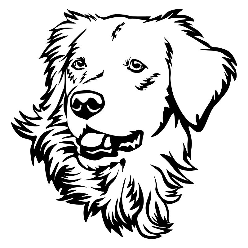 Golden Retriever Kopf