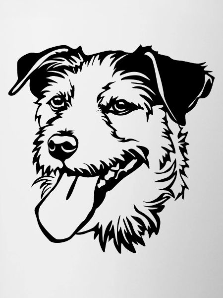 Parson Russel Terrier head