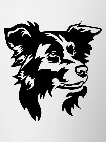 Border Collie Head