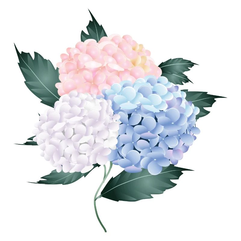 lush hydrangeas bouquet of three flowers