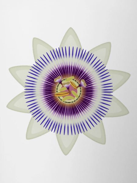 Kunstvolle Blüte einer Passionsblume