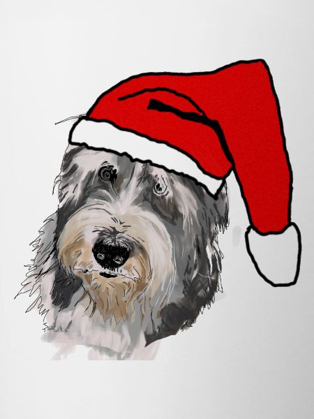 Bearded Collie