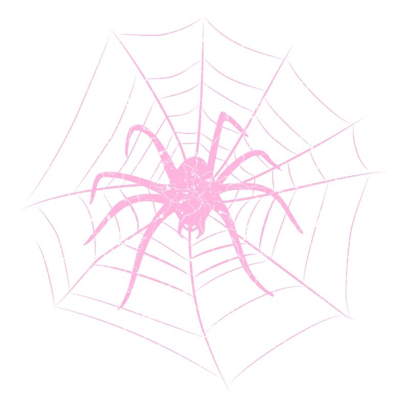 Spinne im Netz Halloween