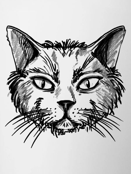 Vieux chat
