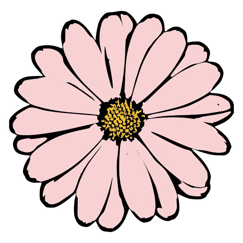 Fleur Rose Fleur Rose Fleurs Rose Fleurs Rose