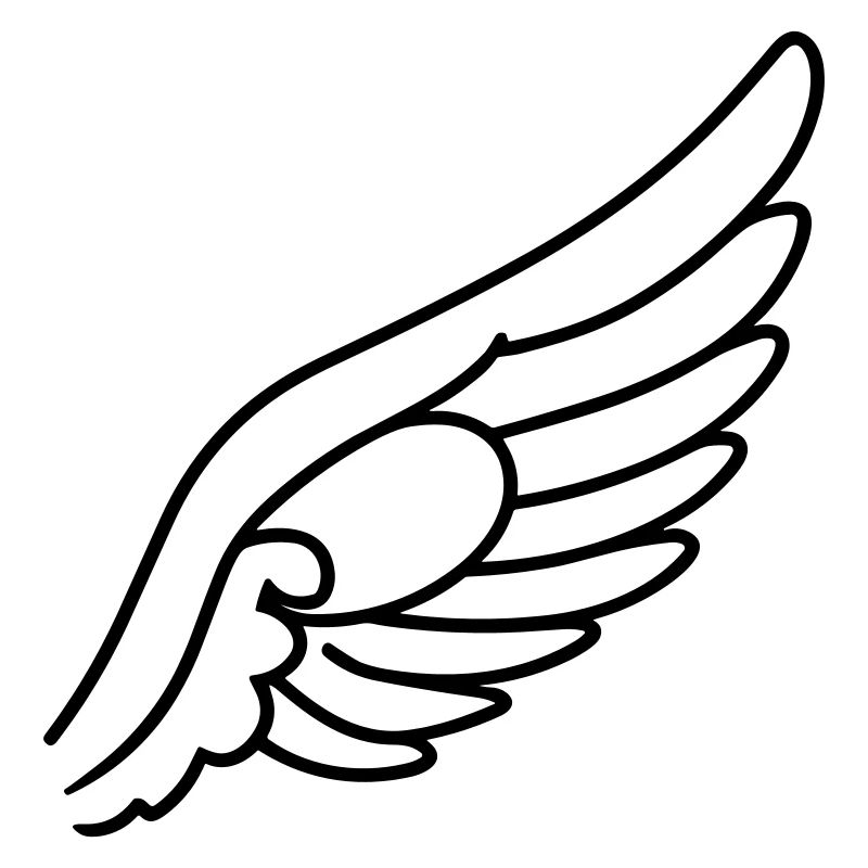 Ailes d'ange