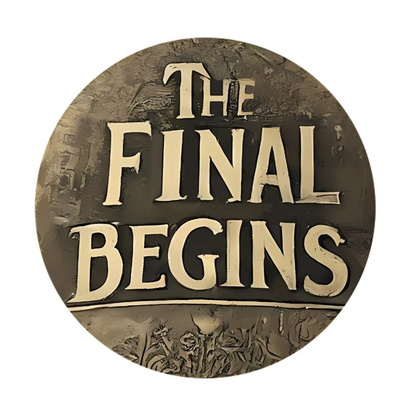 The Final begins