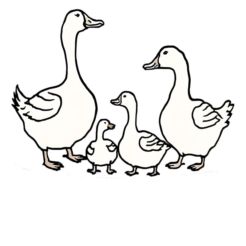 Gans