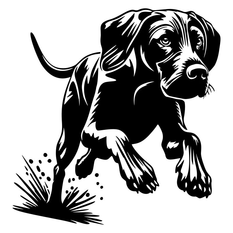 Magyar Vizsla