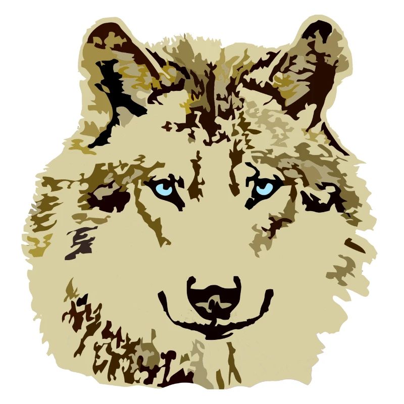 Wolf brown blue eyes