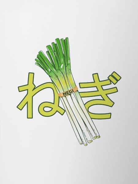 Oignons japonais NEGI