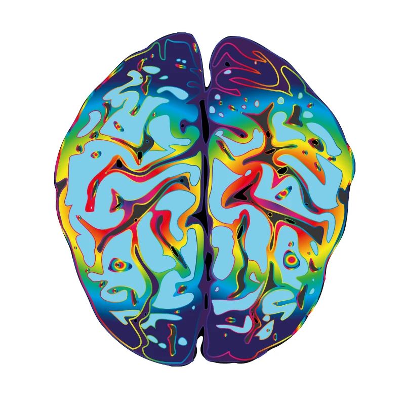 cerveau de LSD
