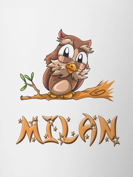 Owl Milan