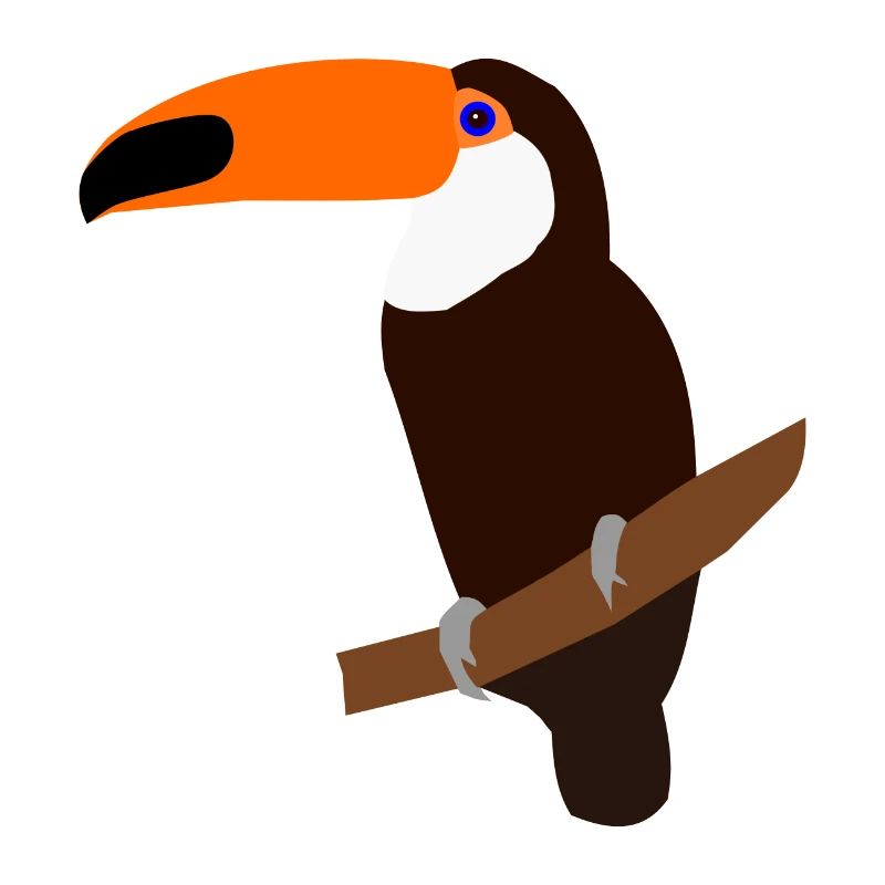Toucan sur une branche – illustration colorée